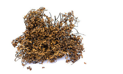 Dried spice herbs, Zanthozylum limonella Alston,  isolated on white background. Concept :  food ingredient for seasoning Thai local northern food. Spicy taste, unique fragrance, add to flavor food.