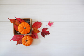 Autumn greeting background. Colorful autumn leaves, pumpkin and gift box composition on white wooden background. Thanksgiving, Fall greeting, autumn festival background and Banner design elements.