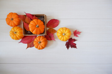 Autumn greeting background. Colorful autumn leaves, pumpkin and gift box composition on white wooden background. Thanksgiving, Fall greeting, autumn festival background and Banner design elements.