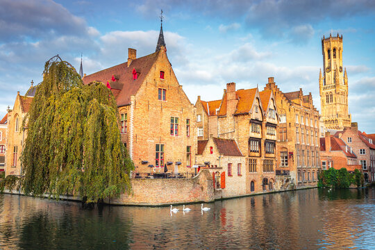 Three swans in peaceful rozenhoedkaai, medieval Bugge, Belgium