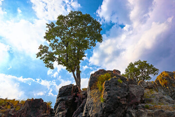 Beautiful Hogenakkal Falls in India