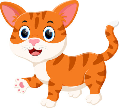 Cute orange cat cartoon isolated on white background