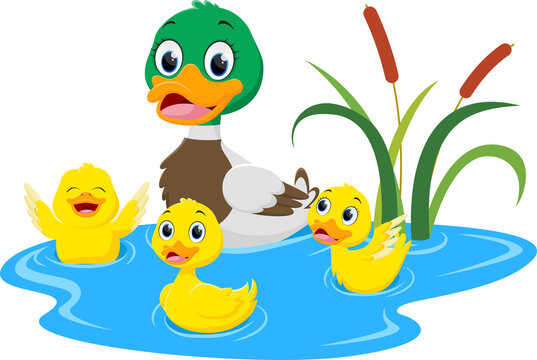 Happy Duck family cartoon isolated on white background