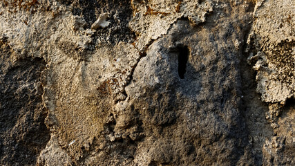 Abstract background of rock detail.