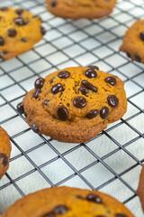fresh homemade chocolate chip cookie. have a sweet taste