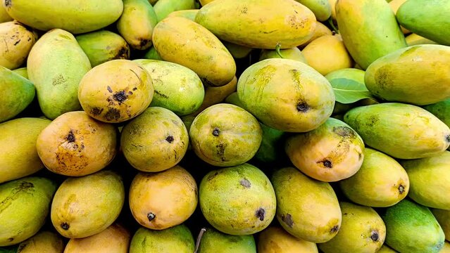 Heap of fresh ripe yellow mangoes background
