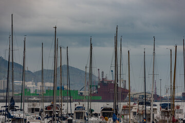 boats in the harbor