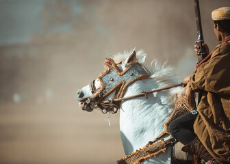horse