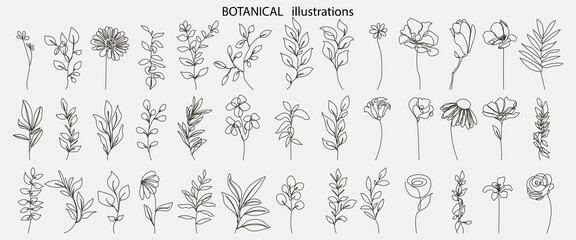 Flowers and Leaves Vector Hand Drawn Line Art Drawing Set. Minimalist Trendy Contemporary Floral Design Perfect for Wall Art, Prints, Social Media, Posters, Invitations, Branding Design.