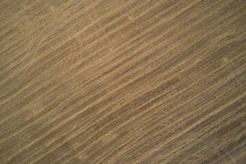 Texture dry grass aerial view. Dry grass top view. Dry grass drone view.