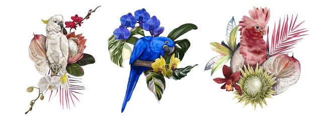 A set of tropical bouquets. white cockatoo, blue macaw and pink cockatoo. Watercolor realistic illustration
