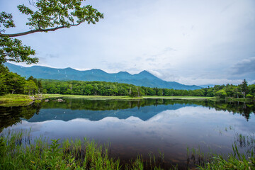 北海道　知床五湖ガイドウォーク