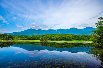 北海道　知床五湖ガイドウォーク
