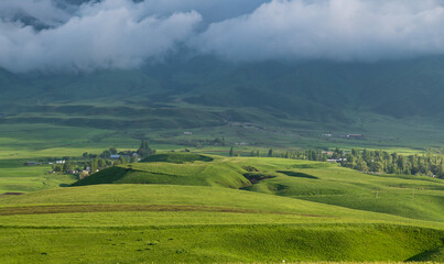 Fototapeta na wymiar Mountain valley after rain. Gray foggy sky.Green mountain meadows.
