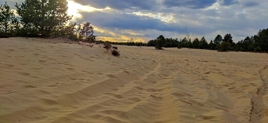 footprints in the sand