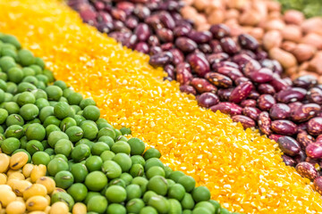 Autumn harvest of grain grain, full screen of whole grains.