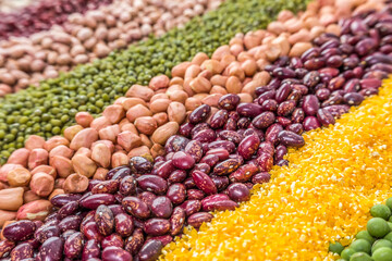 Autumn harvest of grain grain, full screen of whole grains.