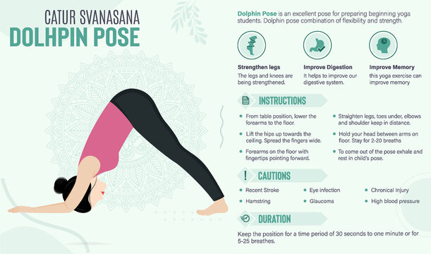 Dolphin Pose Guide and benefits: Yoga poses vector illustration