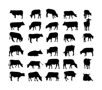 Collection of black silhouettes cows.