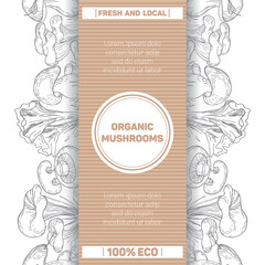 Organic mushrooms. Packaging template. Set of edible mushrooms. vintage botanical illustration. Graphic objects in vintage style. Great for menu, label, product packaging