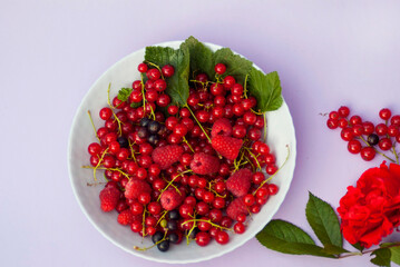 Plate with raspberries, black and red currants on a purple background