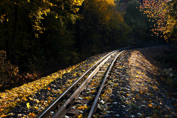 Railroad tracks in autumn