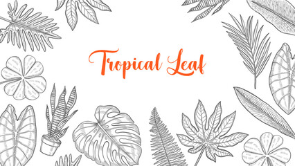 tropical leaf set collection with hand drawn sketch for background banner template poster