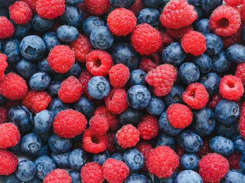background: a lot of blueberries and raspberries - a harvest of summer berries