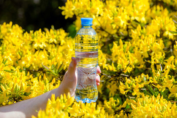 Girl holds a bottle of drinking water against the background of a blooming yellow rhododendron
