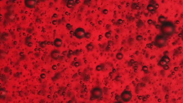Red abstract oil bubbles or liquid background. Oil and water bubbles macro shot.