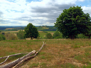 Blick in Eifellandschaft vom M&auml;useberg - in der Eifel / Vulkaneifel bei Daun an einem wolkigen Sommertag. Aussicht von den Wanderwegen Eifelsteig und Heimatspur Maaregl&uuml;ck.