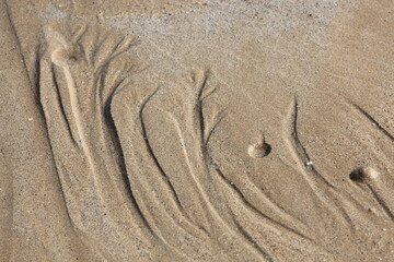 Fototapeta na wymiar sable et galets