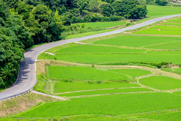 夏の田染荘　大分県豊後高田市　Tashibunosho in summer. Ooita-ken Bungotakata city.