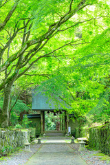 夏の両子寺　大分県国東市　Futagoji Temple in summer. Ooita-ken Kunisaki city.　