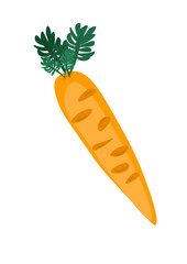 Sign or icon of carrot from vegetable garden. Raw food diet.