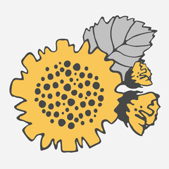 Stylized sunflower vector drawing with large flowers and buds on a branch, varied foliage. yellow and gray leaves. Botany for printing products from fabric, covers, paper, upholstery, curtains