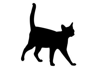 black silhouette of a cat, on a white background, side view