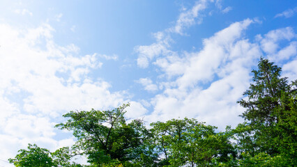 Obraz premium 青空と雲