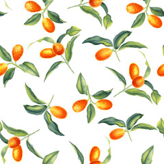 Kumquat branches watercolor seamless pattern. Citrus orange fruits and leaves endless background. Tropical tree hand drawn ornament. For textiles and packaging paper.