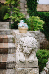 Fototapeta na wymiar Old stone sculpture of a lion on the stone railing of the stairs. In the background is a stone facade entwined with green wisteria.