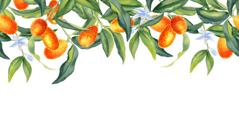 Ripe orange kumquat seamless border. Hand drawn watercolor botanical illustration of fresh citrus fruits and pieces. Packaging design and endless summer background. Tropical postcard and invitation.
