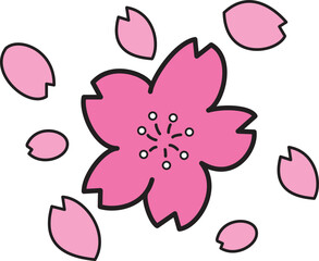 桜の花と花びら
