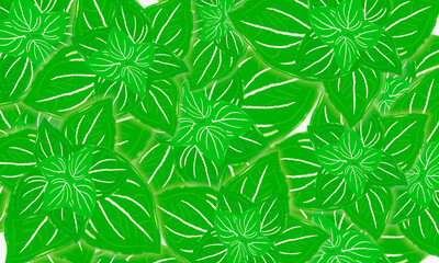 Fototapeta na wymiar .Tropical green leaves hand drawn spring nature background