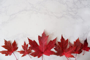 Beautiful red maple leaves on white marble background. symbolic red maple leaf composition on white background. Autumnal background.