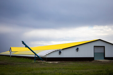 Farm for cows. View from the front of the building.