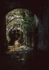 Obraz premium tunnel in the forest