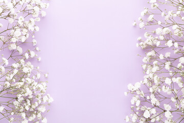 Beautiful flower background of pink gypsophila flowers. Flat lay, top view. Floral pattern.