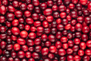 Cranberry bio background, food background.