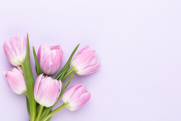 Obraz na płótnie Canvas Lilac tulip flower on purple background.