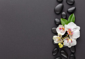 Fototapeta na wymiar Spa stone, orchid theme objects on grey background.
